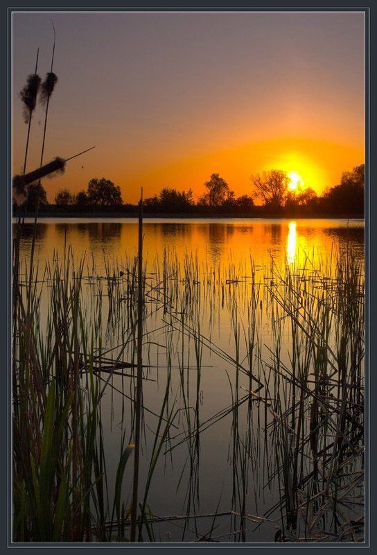 Утро на озере фото превью