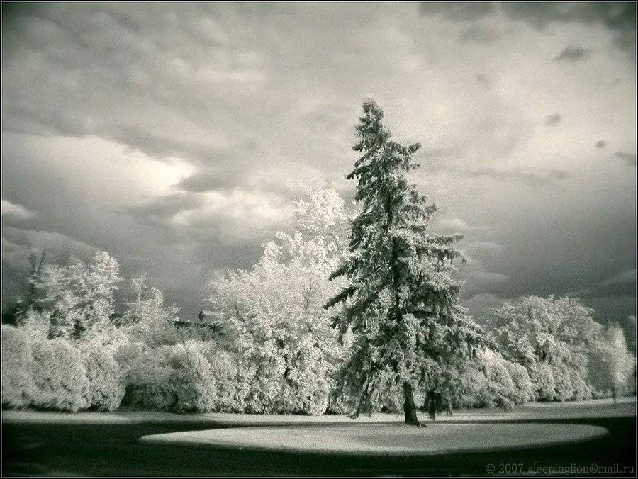 ик, пейзаж, infrared, инфракрасный, инфракрасное, pilgrim, Pilgrim