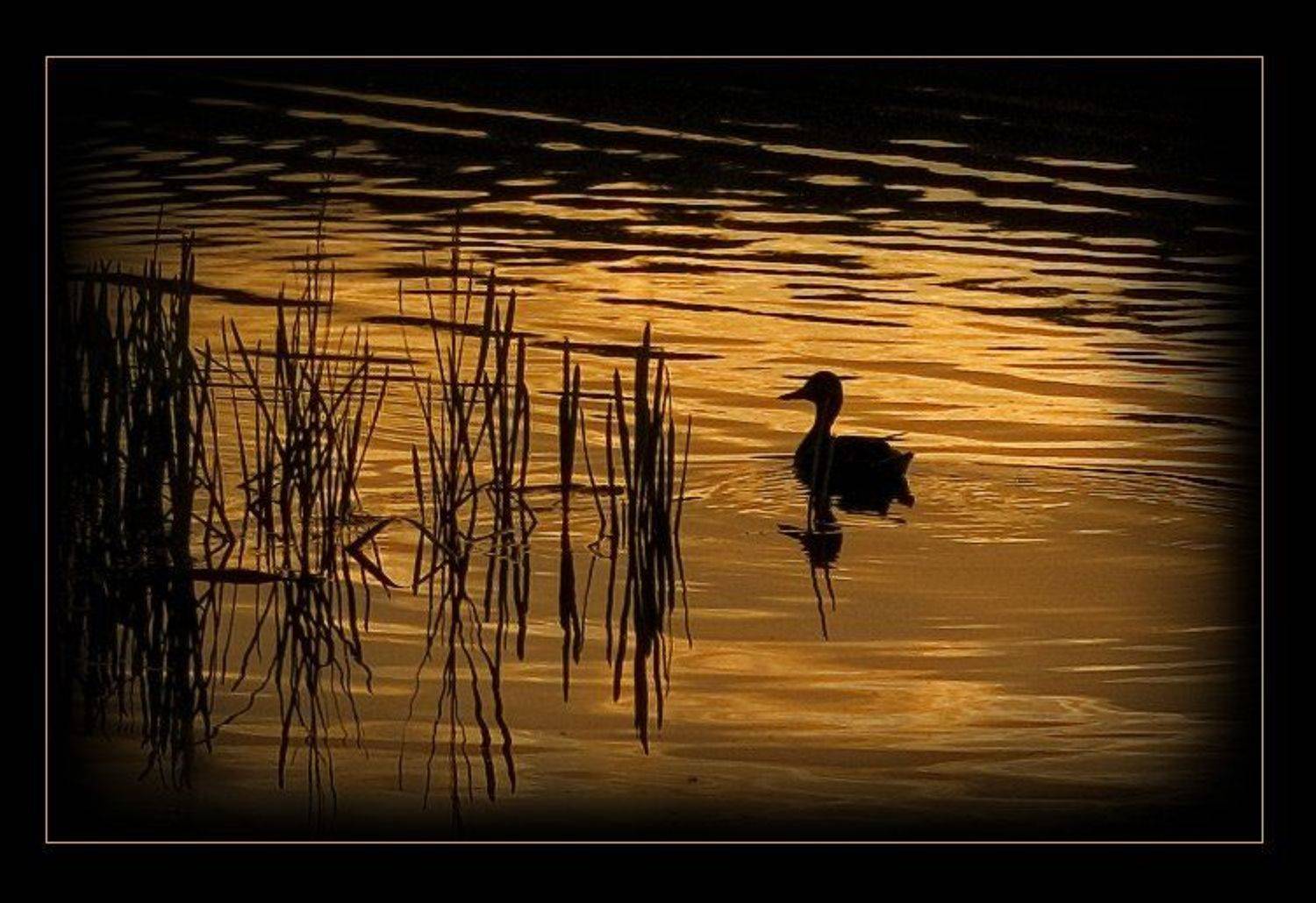 , Екатерина (PhotoJourneys.ru) Васягина