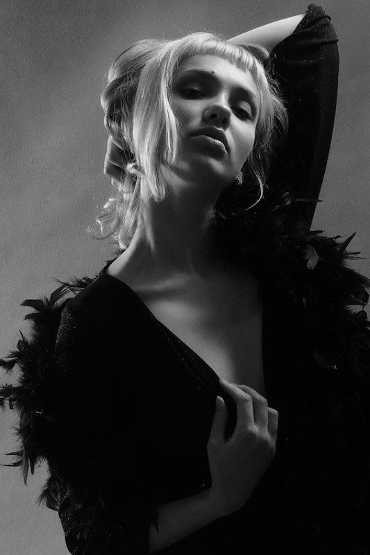 Cat фото превью