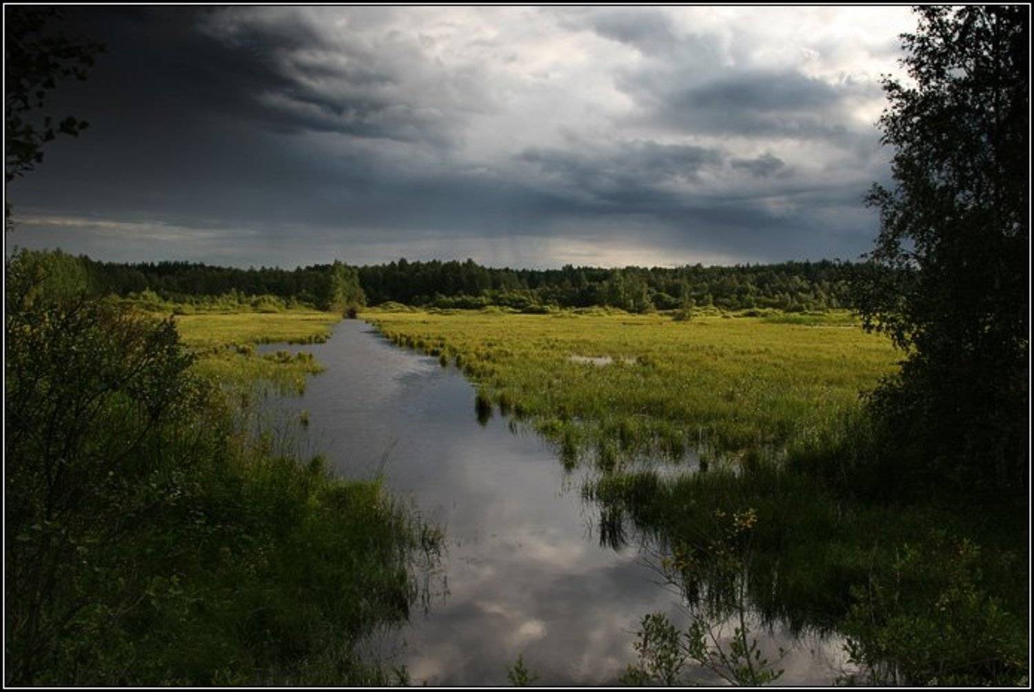 поле, болото, канава, вода, трава, лес, дерево, небо, облако, туча, свет, солнце, dyadyavasya, Дмитрий Шамин