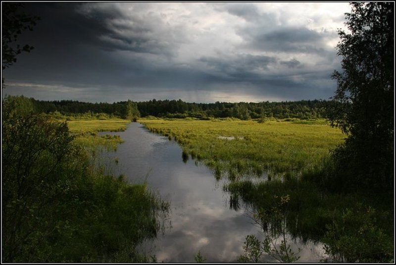 поле, болото, канава, вода, трава, лес, дерево, небо, облако, туча, свет, солнце, dyadyavasya Предгрозовой пейзаж фото превью