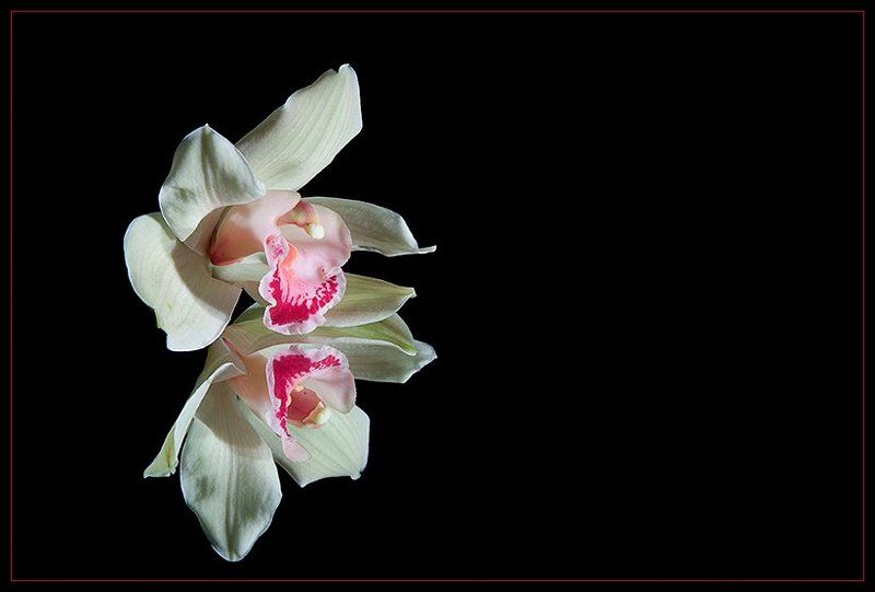 Про нарциссизм фото превью