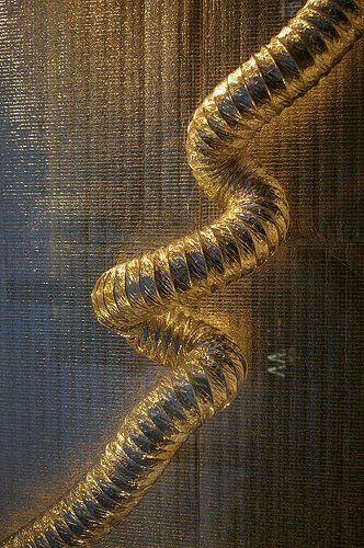 ДНК олигарха