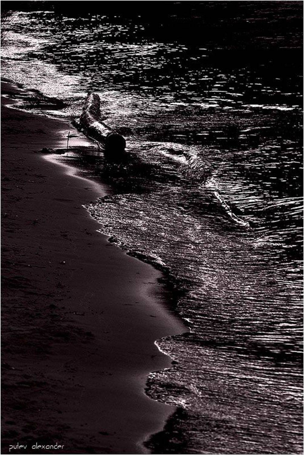 волна,вода,берег,река,бревно,закат,прогулка, Александр Путев