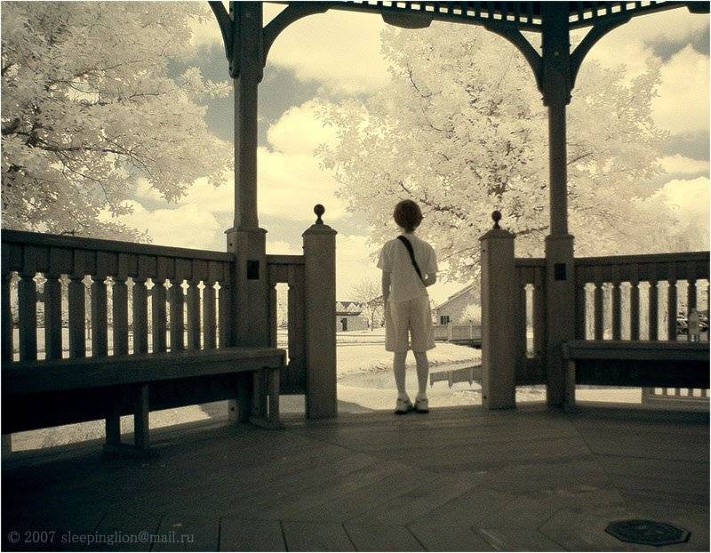 ик, infrared, инфракрасный, инфракрасное, pilgrim, Pilgrim