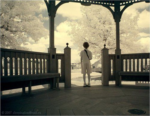 Ворота в Нарнию