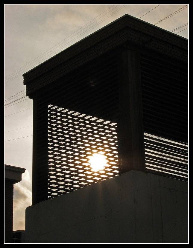 , Лунный Ежик