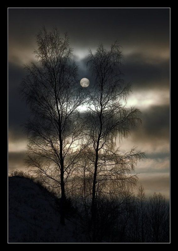 холод солнце Холодное Солнце фото превью