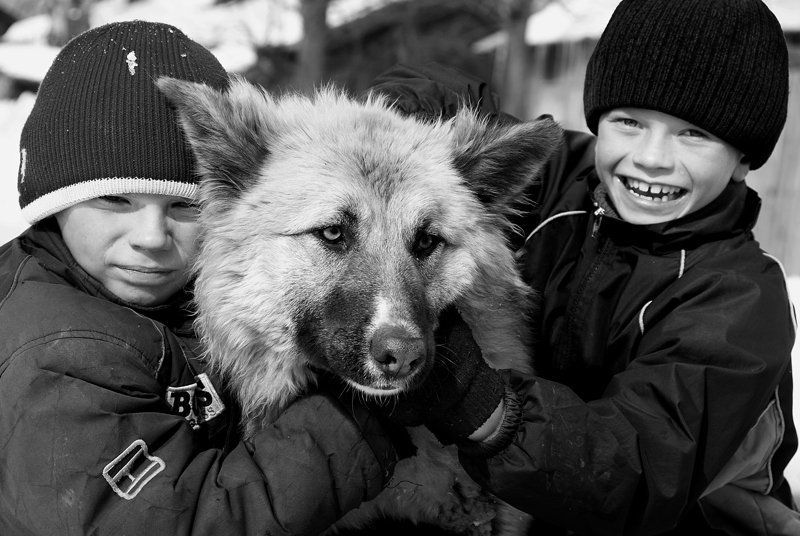 три харатера фото превью