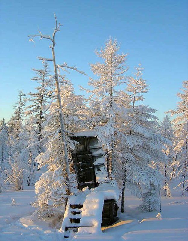 скворечник,якутия Таёжный сервис фото превью