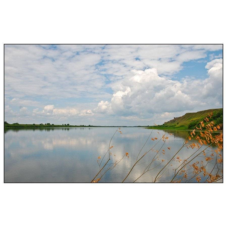 , Дмитрий Милосердов