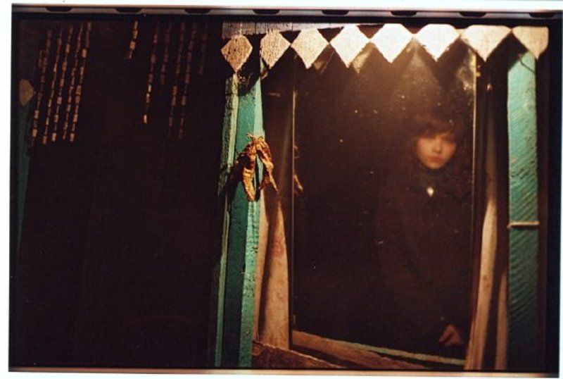 mao, 35 mm black pepper фото превью