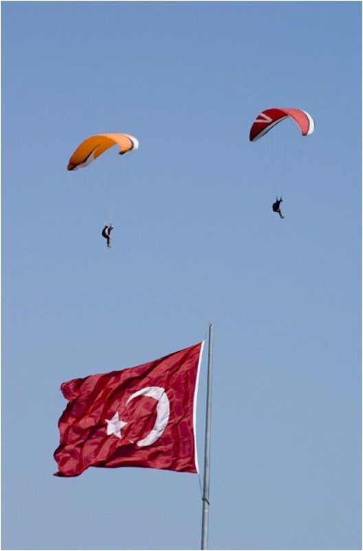 no name фото превью