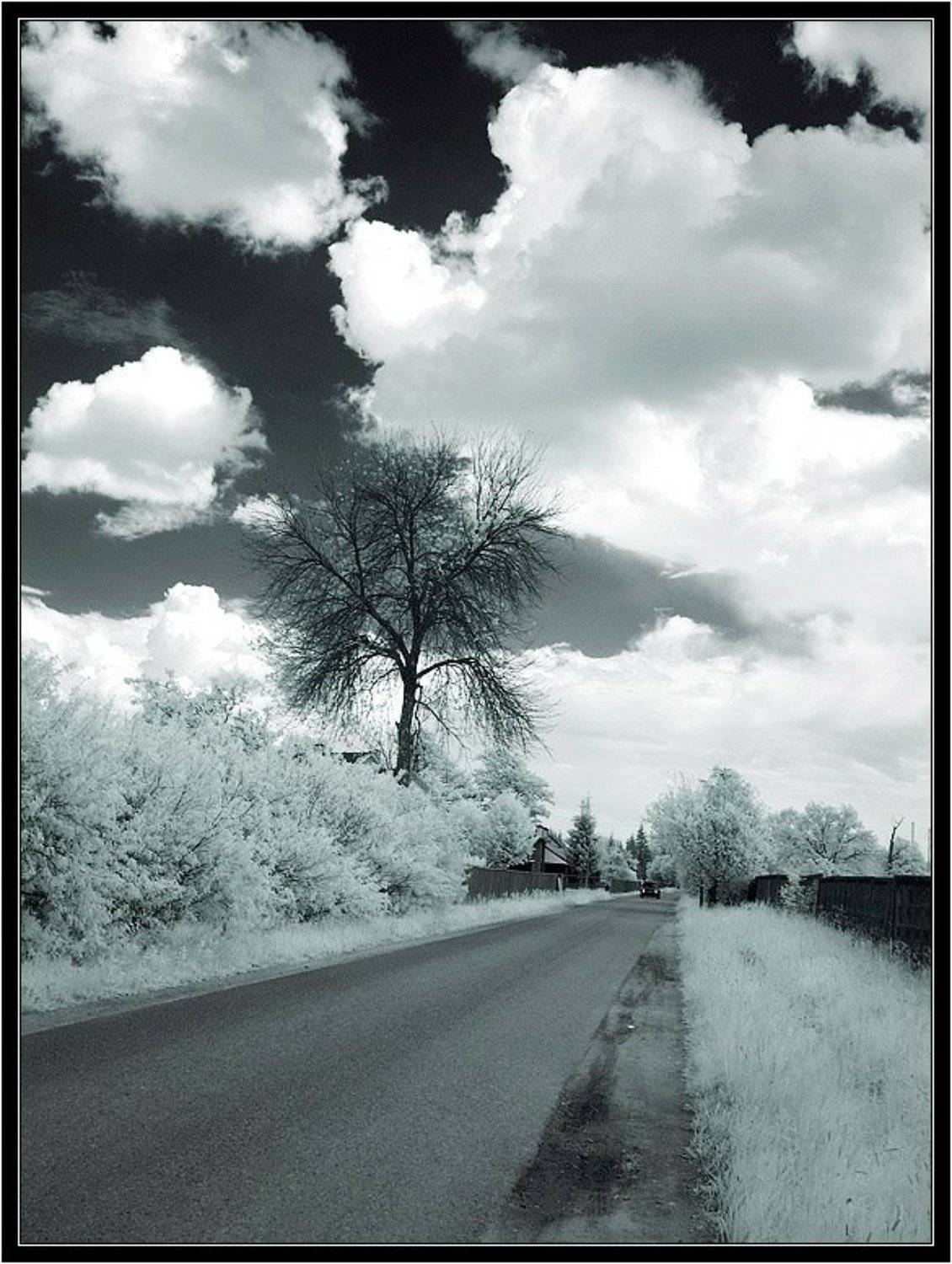 ик,инфракрасная,infrared,ir, jouris