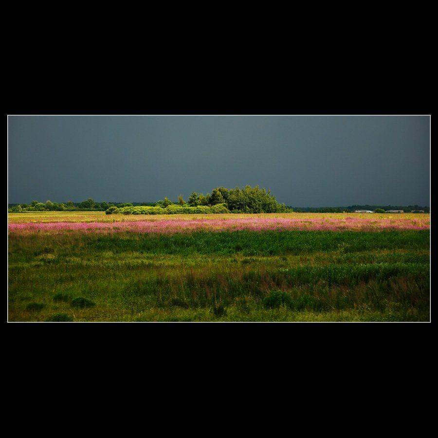 , Дмитрий Милосердов