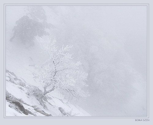 На карю сознания