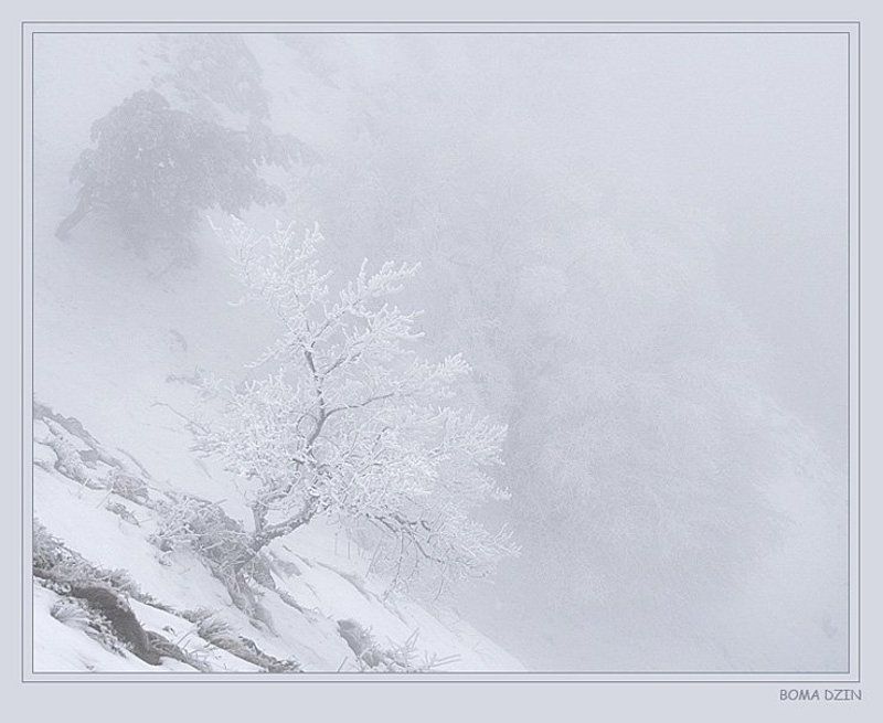 снег На карю сознания фото превью