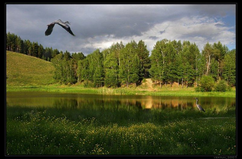 Там, где царят Покой и Красота фото превью
