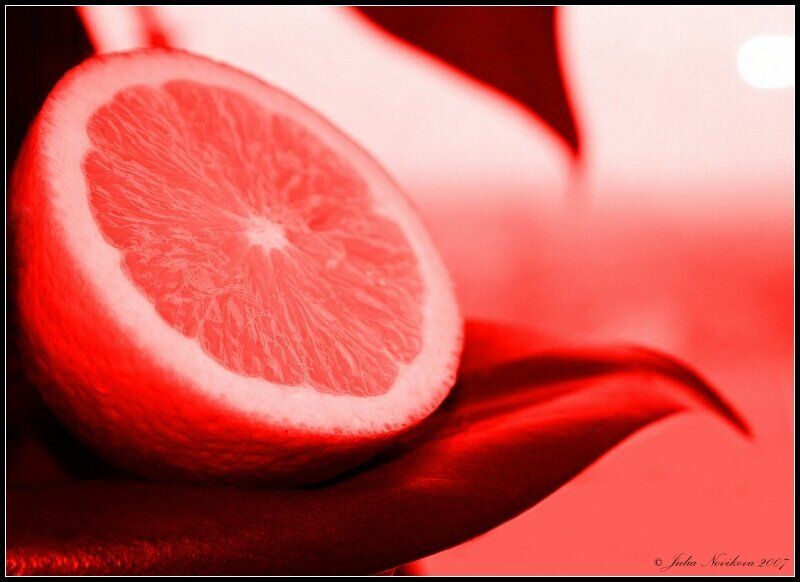 777, апельсин, мне 22 годика) 07.07.07 [Сумасшедший апельсин на ветке] фото превью