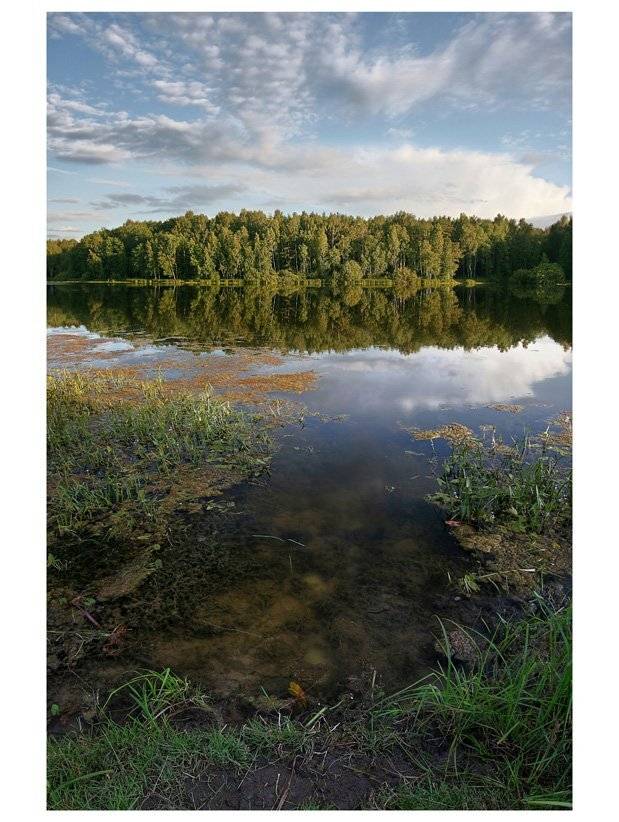 , Сергей Прокошин