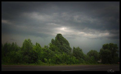 перед грозой