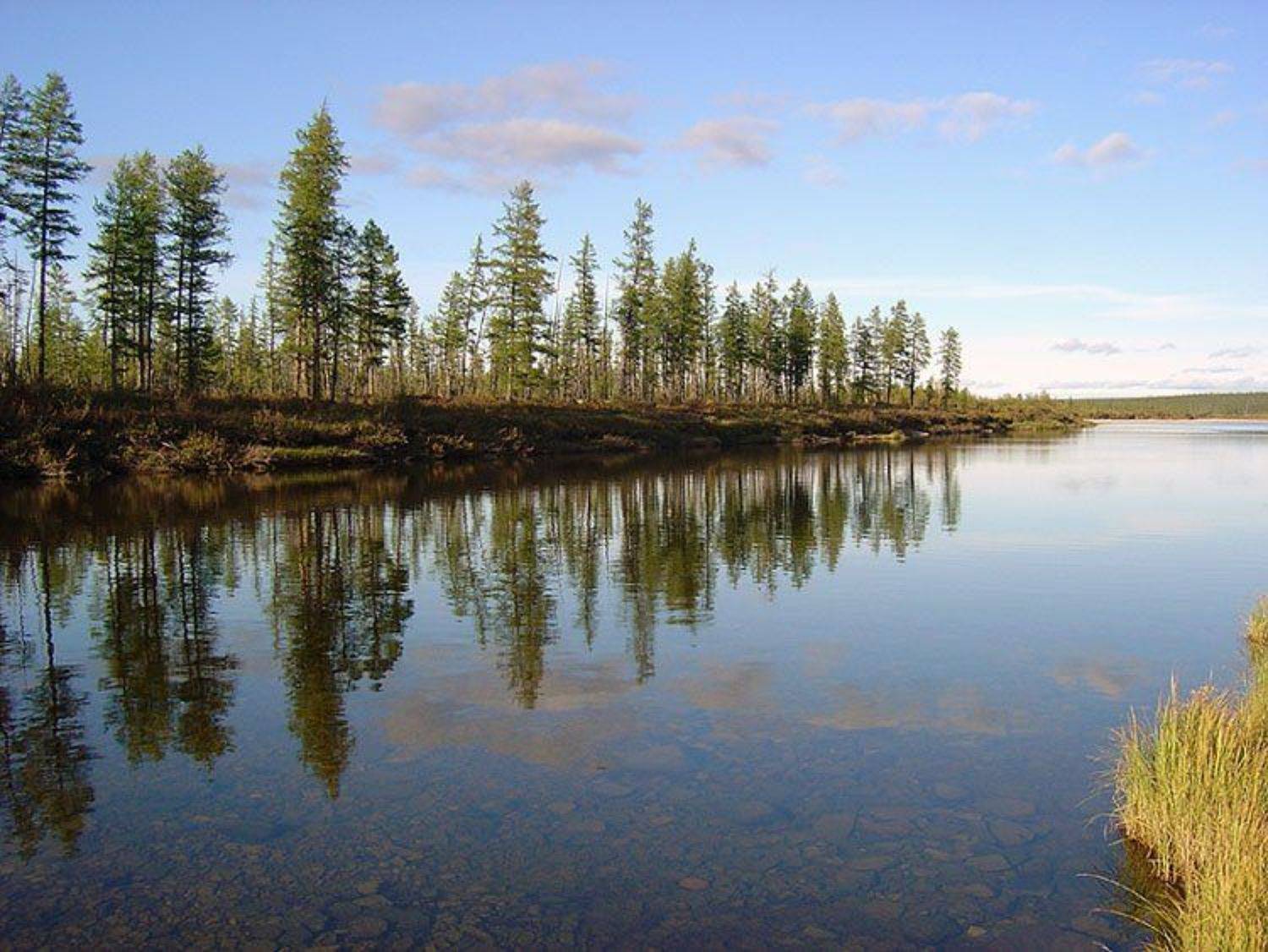 река,тайга,якутия, Солодухин Виктор