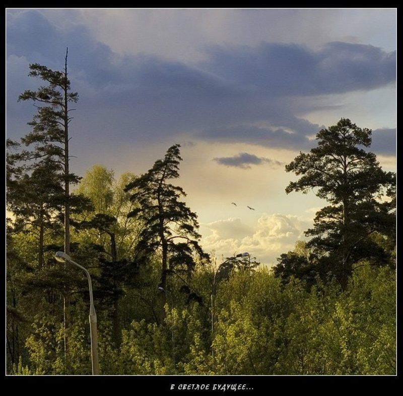 В светлое будущее... фото превью