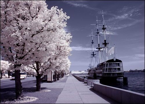 spb infrared dream