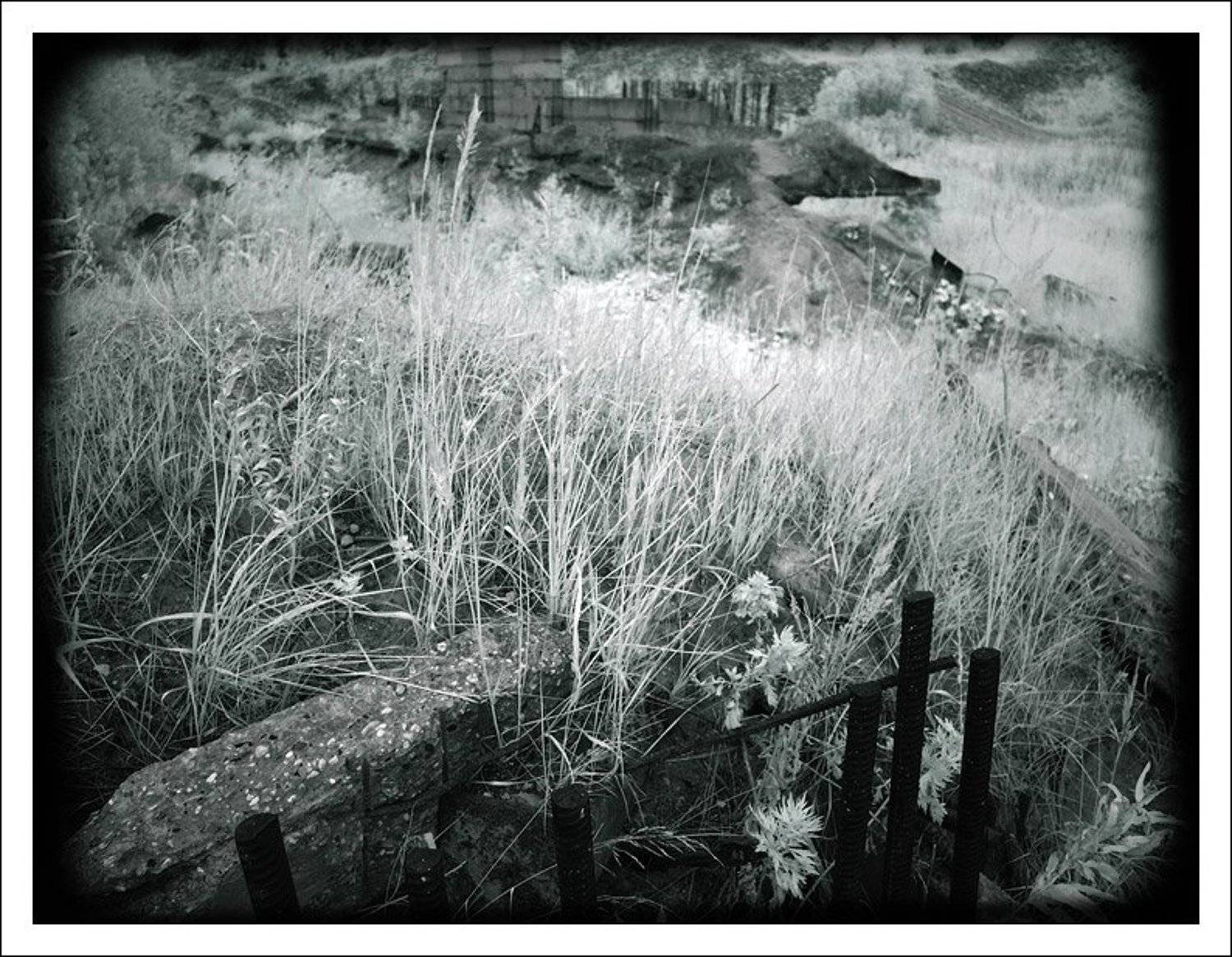 ик,инфракрасная,infrared,ir, jouris