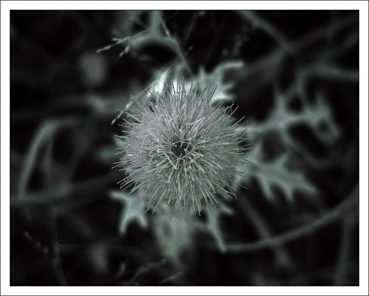 ик,инфракрасная,infrared,ir, jouris