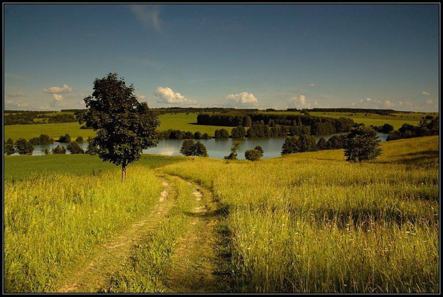 лето, зелень, жара, Капустин Николай