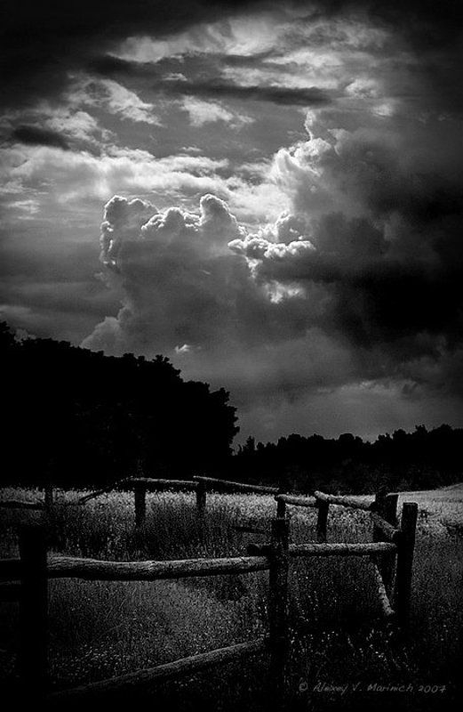 вечер, солнце, природа, пейзаж, чб, ч/б, киев, пирогово Вечер в Пирогово фото превью