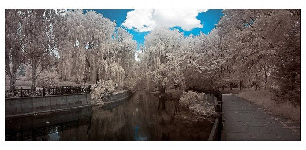 ик фото, симферополь, Токарь Дмитрий