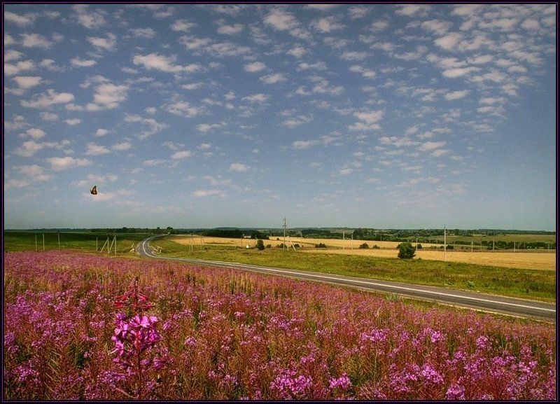 лето фото превью