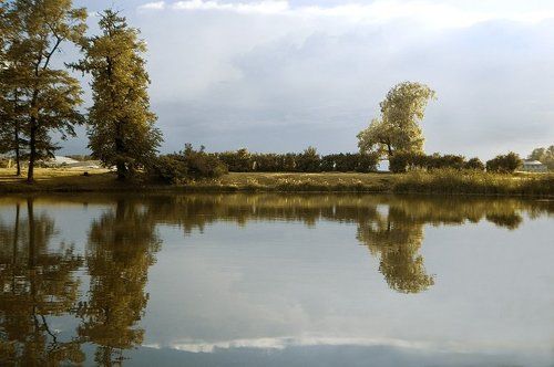 Летняя зарисовка.