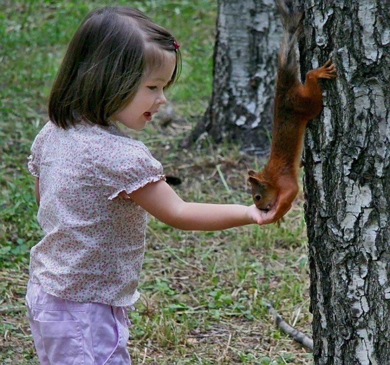 белка Белка#2 фото превью