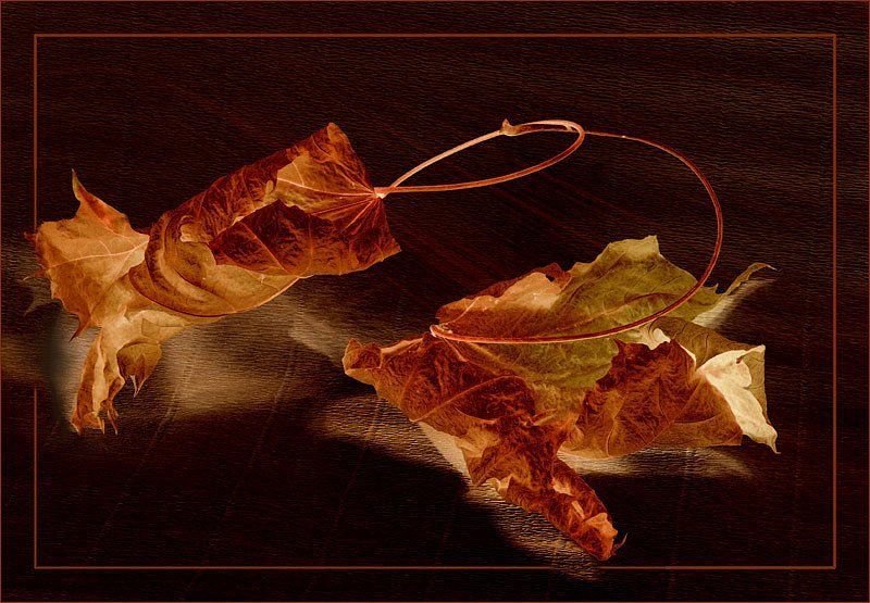 фотоарт,осень Не уходи... фото превью