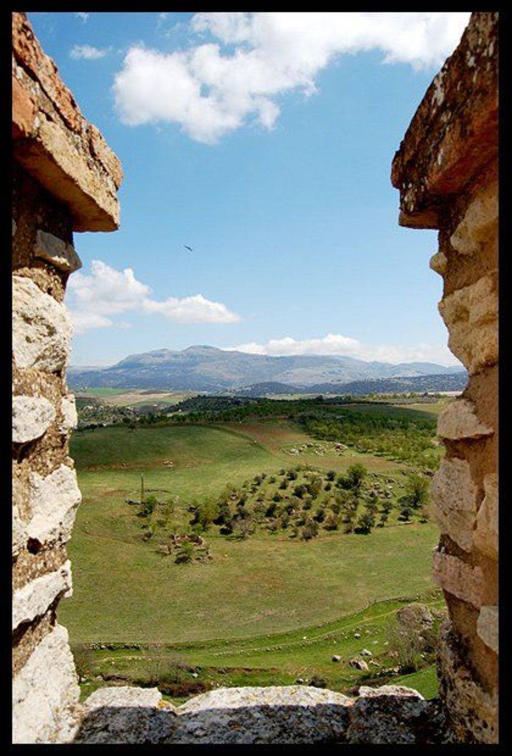 ронда, испания, поля, крепость, spain, ronda, viuga, лето, небо, зелень, viuga