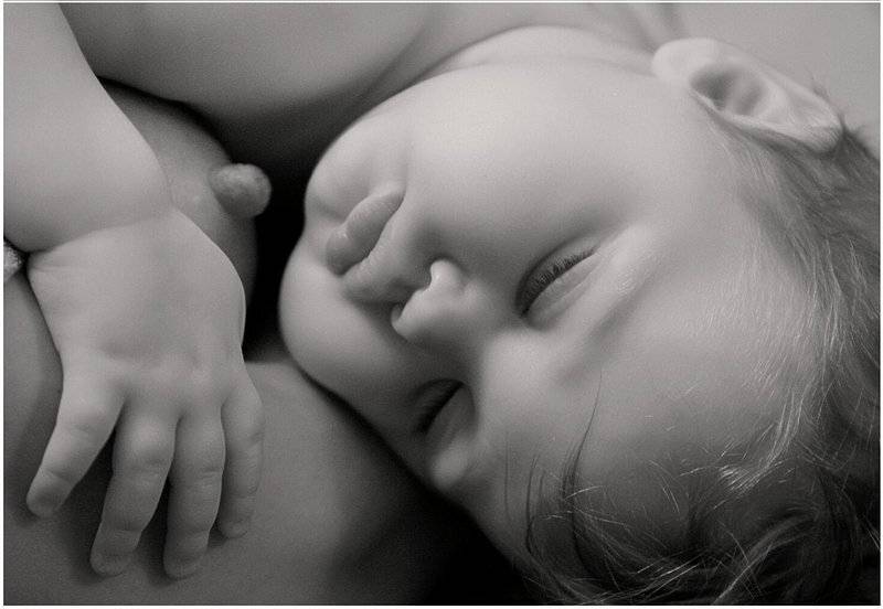 дети вечная тема, Eland