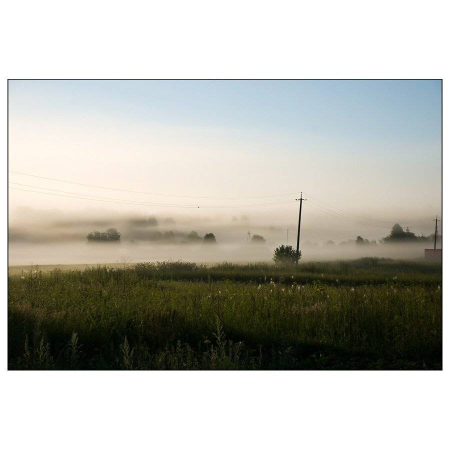 , Дмитрий Милосердов