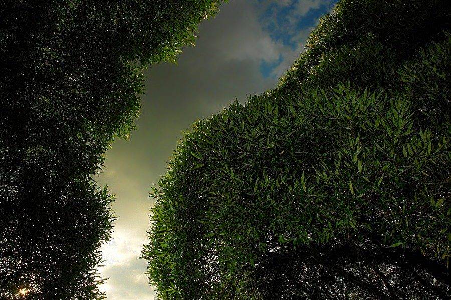 река, небо, senjor