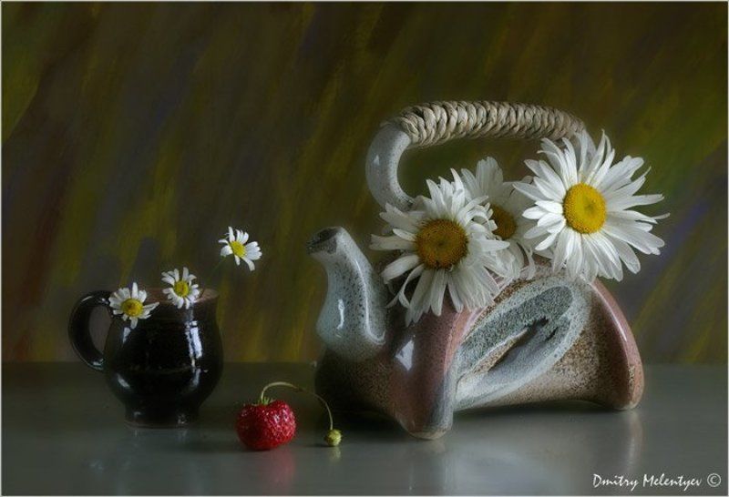 цвет ромашки чайник still life Натюрморт | Still life фото превью