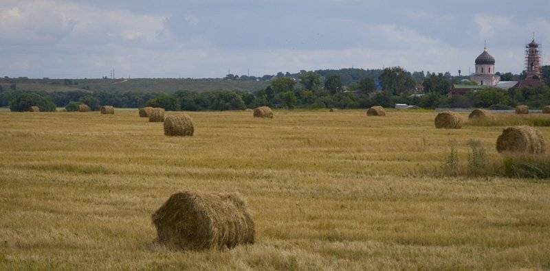 июльский, полдень, в, окрестностях, москвы, Vincent
