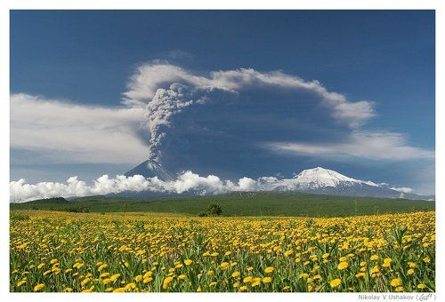 Долгожданный момент или Ключевская проснулась.