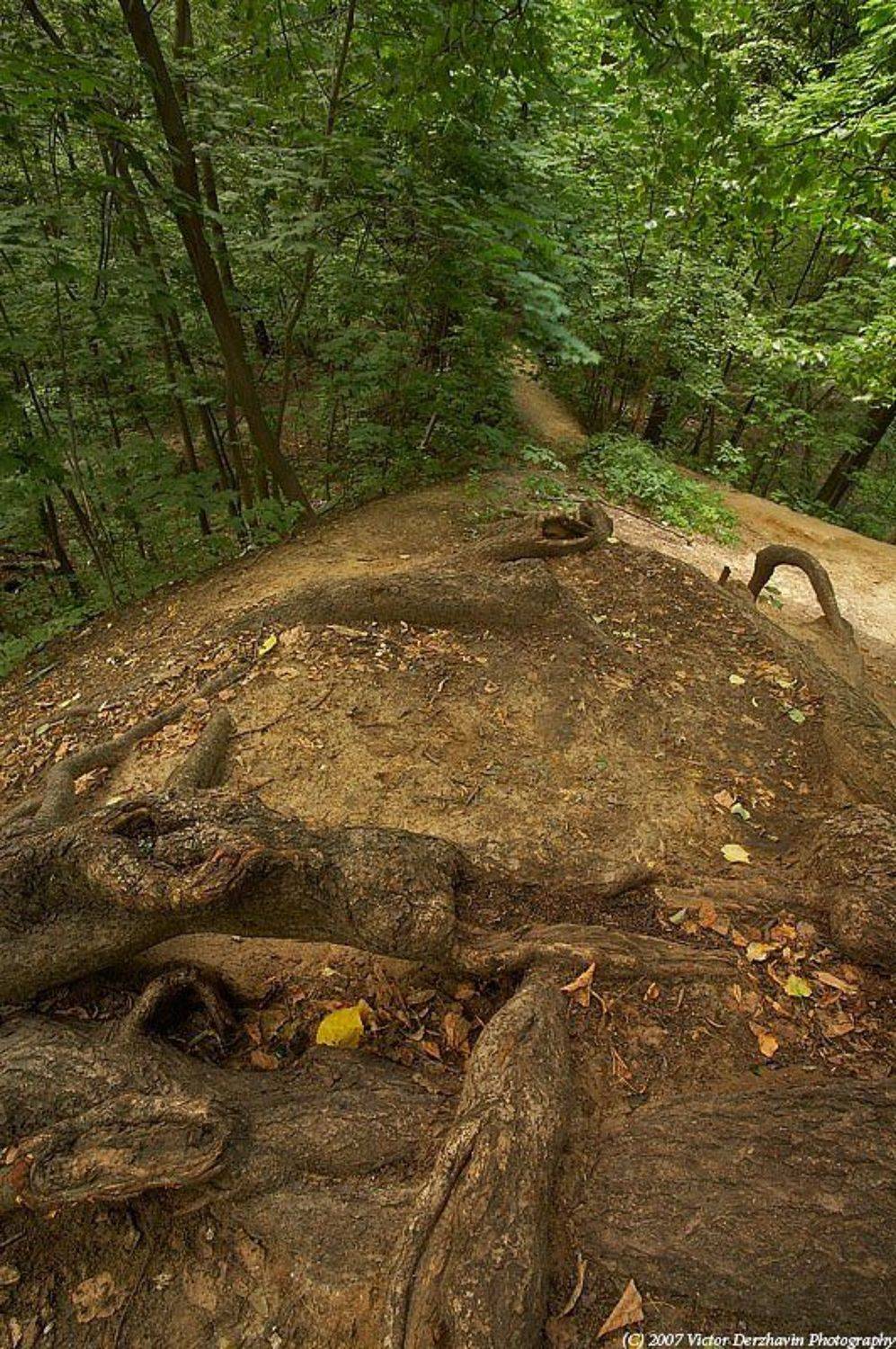 , Виктор Державин