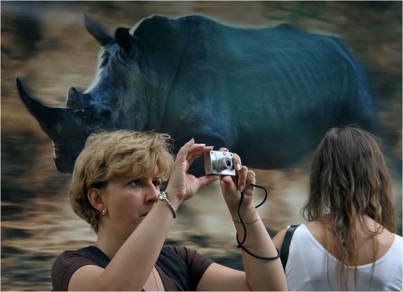 выставка стива блума Дикий Мир фото превью