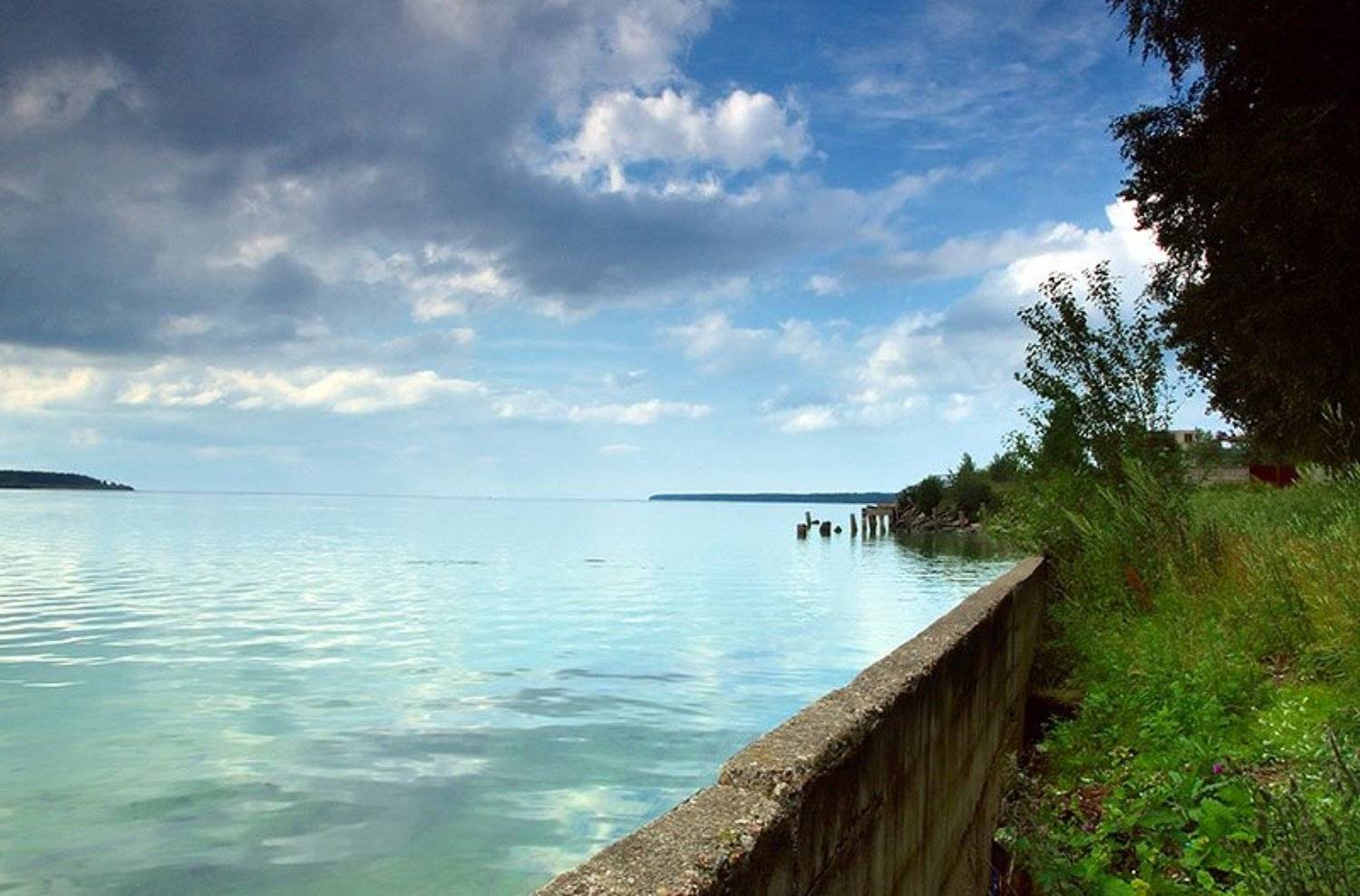 рыбинск, водохранилище, берег, Михаил Гризли