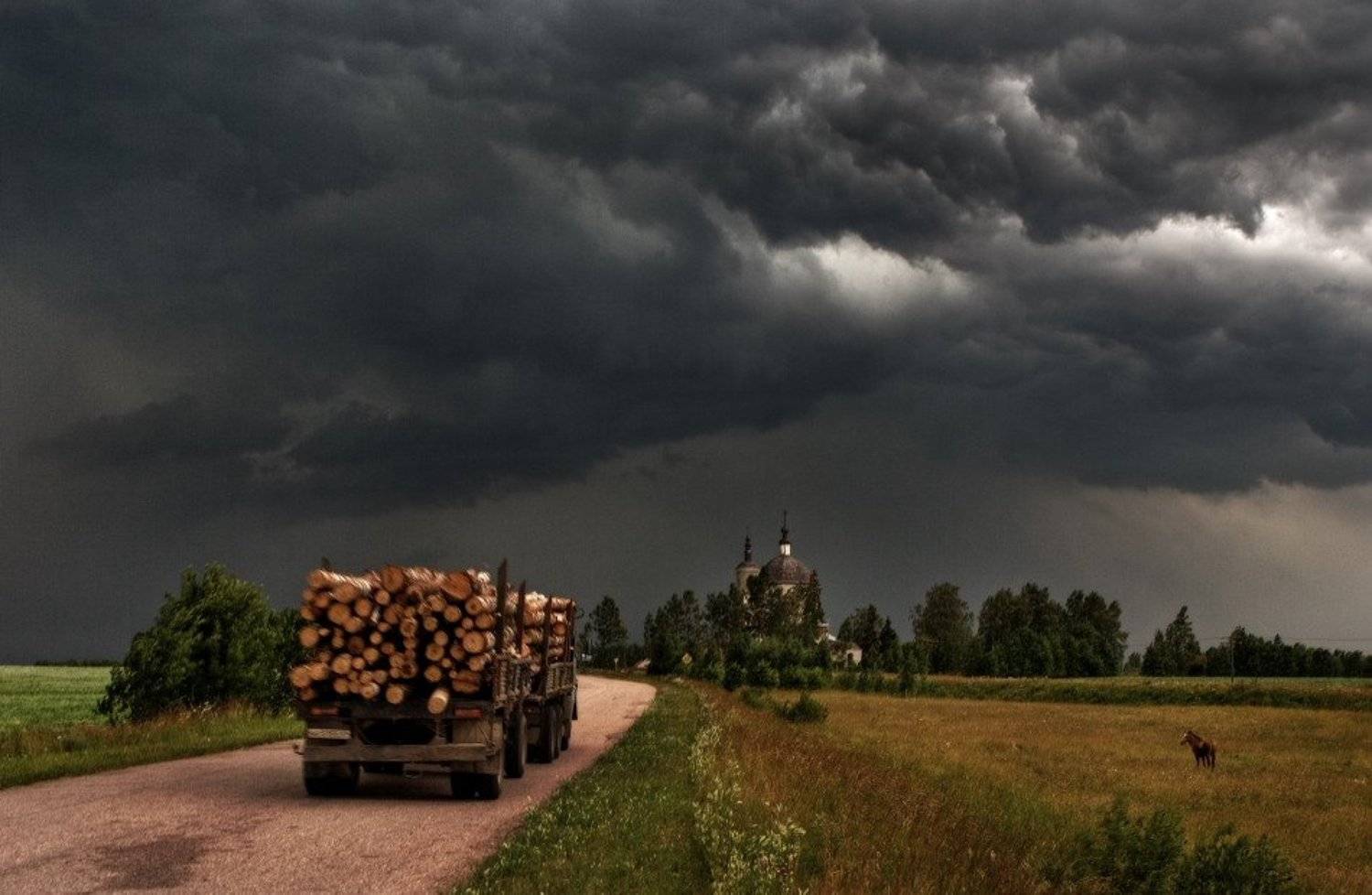 , Владимир Липецких