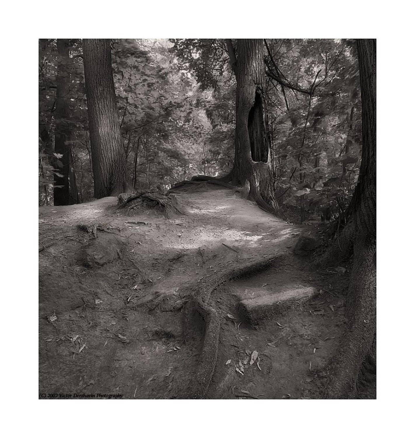 , Виктор Державин